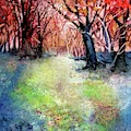 Orange Forest