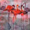 Turner's Flamingos