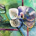 Viva Orchid